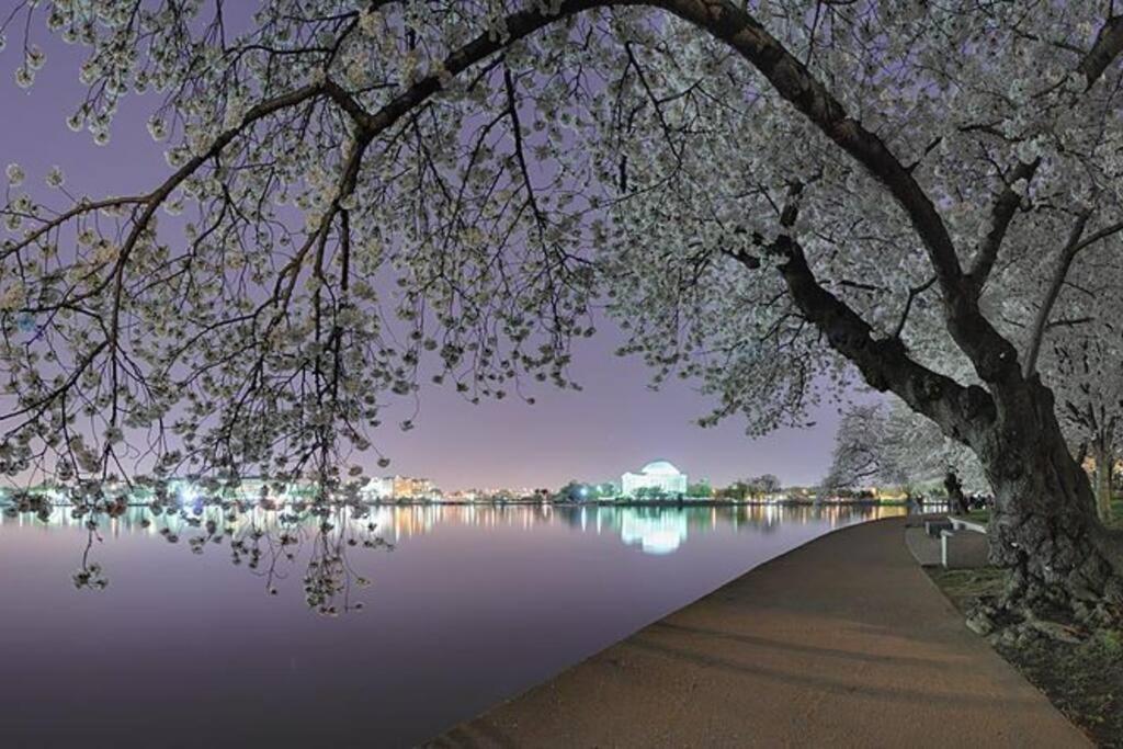 Relaxing, Spacious, Private, Walkable In Petworth! Washington Ngoại thất bức ảnh
